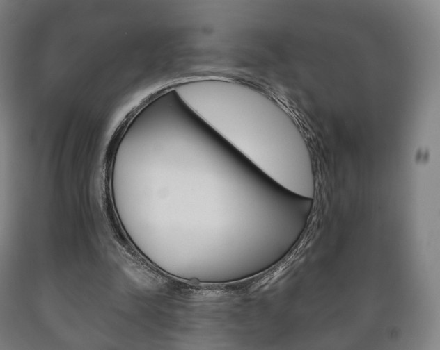 X0000090900342200707301016
