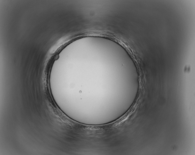 X0000090900343200707301016