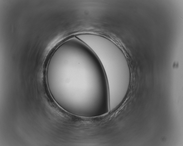 X0000090900344200707301016