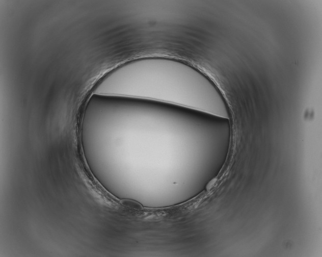 X0000090900345200707301016