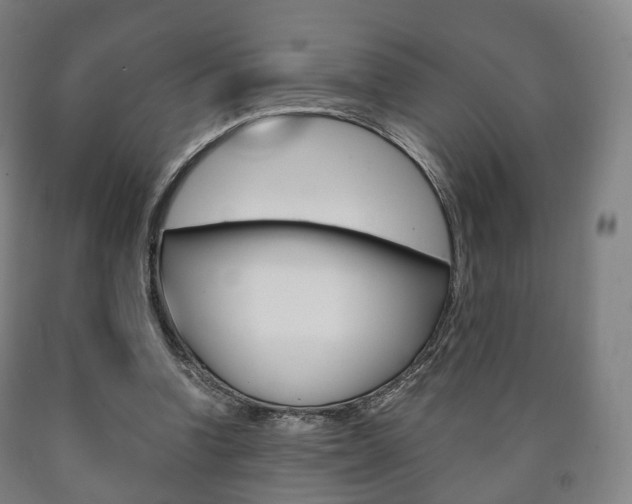 X0000090900346200707301016