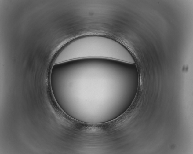 X0000090900348200707301016