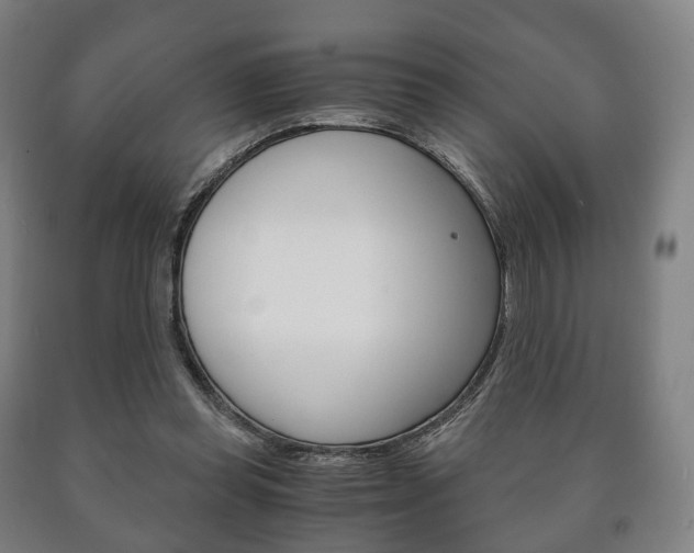 X0000090900349200707301016