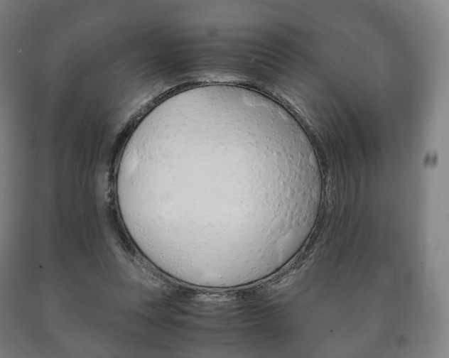 X0000090900351200707301016