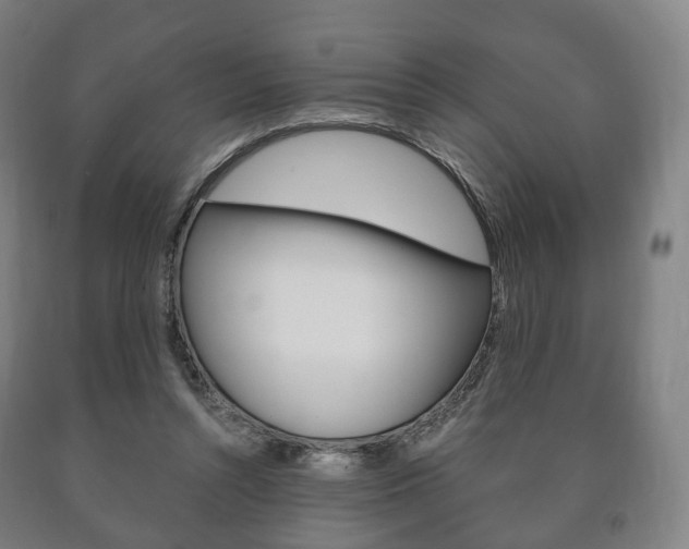 X0000090900352200707301016