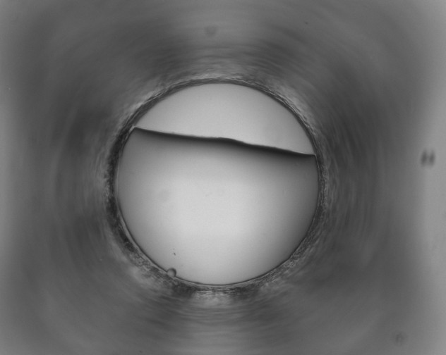 X0000090900354200707301016