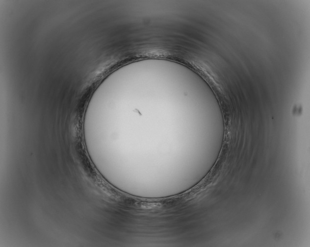 X0000090900355200707301016