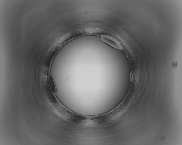 X0000090900356200707301016