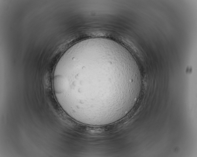 X0000090900359200707301016