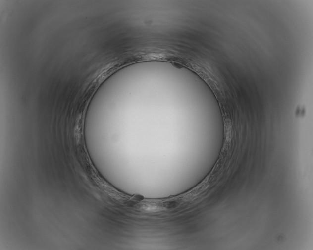 X0000090900360200707301016
