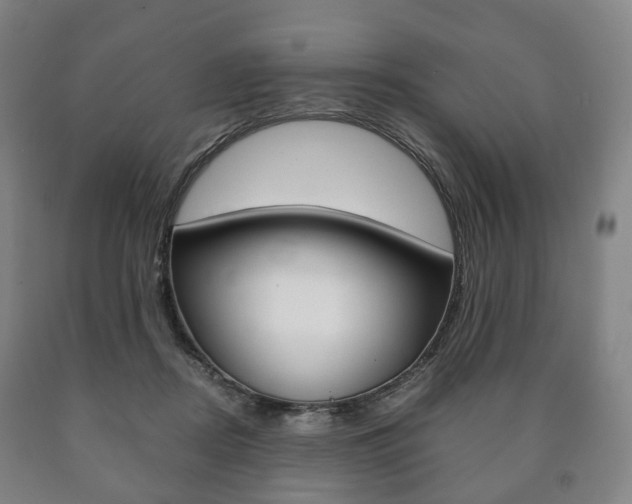 X0000090900362200707301016