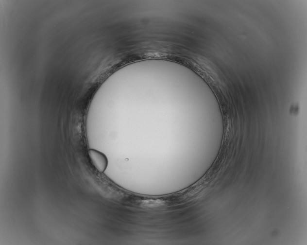 X0000090900363200707301016