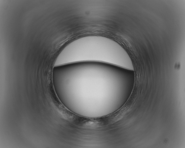 X0000090900364200707301016