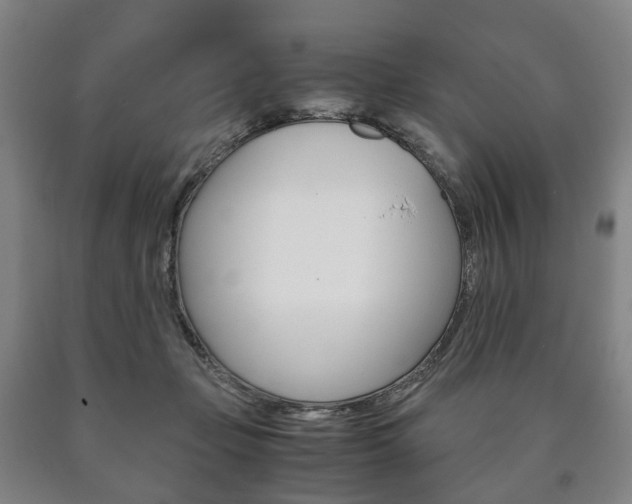 X0000090900365200707301016
