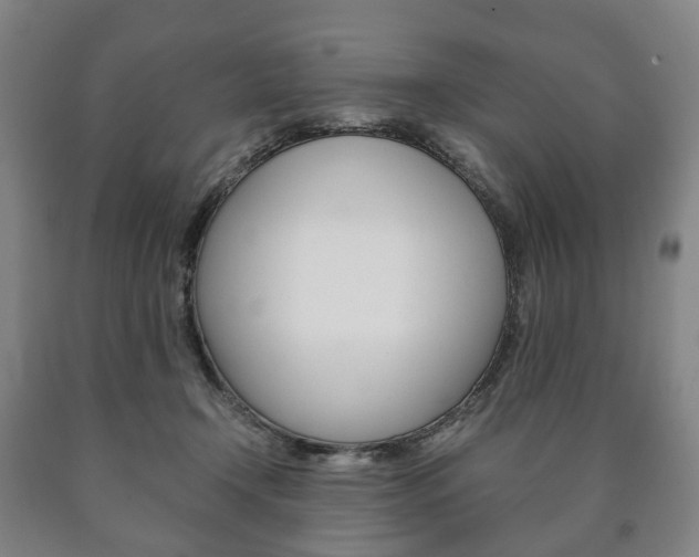 X0000090900366200707301016