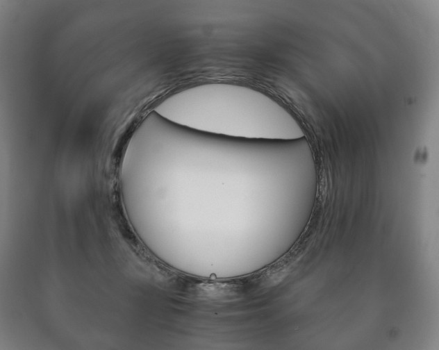 X0000090900367200707301016