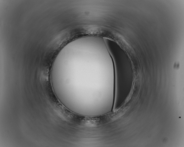 X0000090900368200707301016