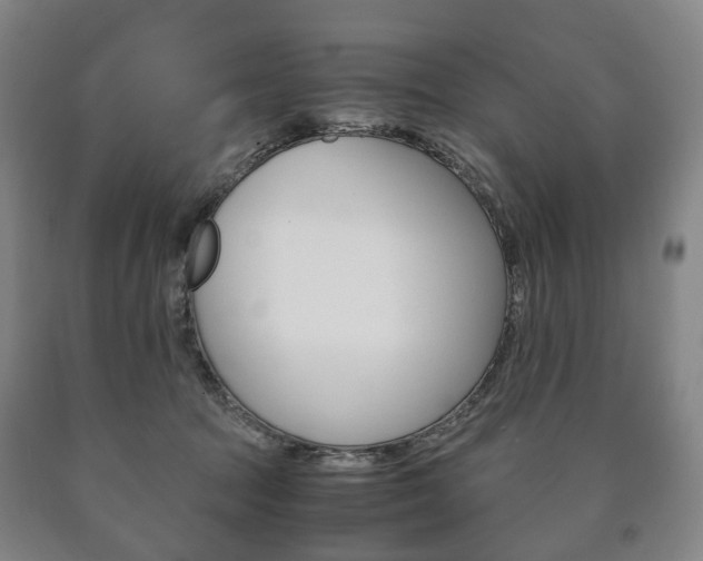 X0000090900369200707301016