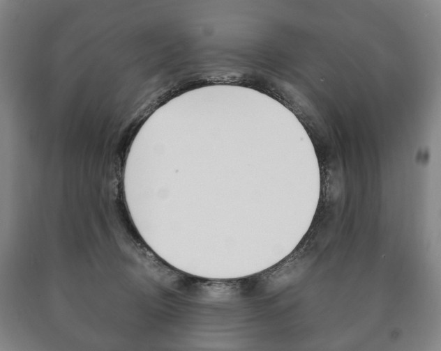 X0000090900370200707301016