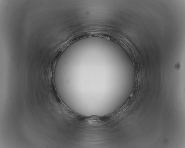 X0000090900372200707301016