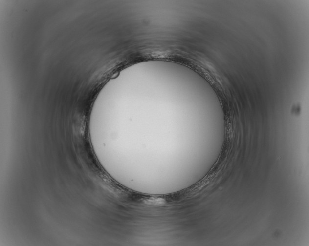 X0000090900374200707301016