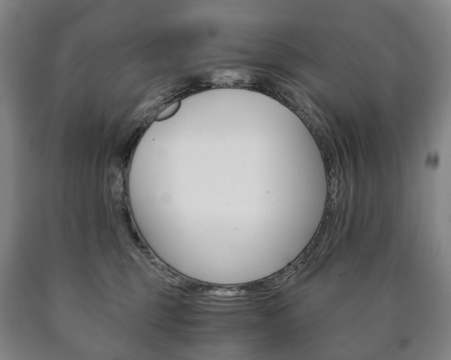 X0000090900375200707301016