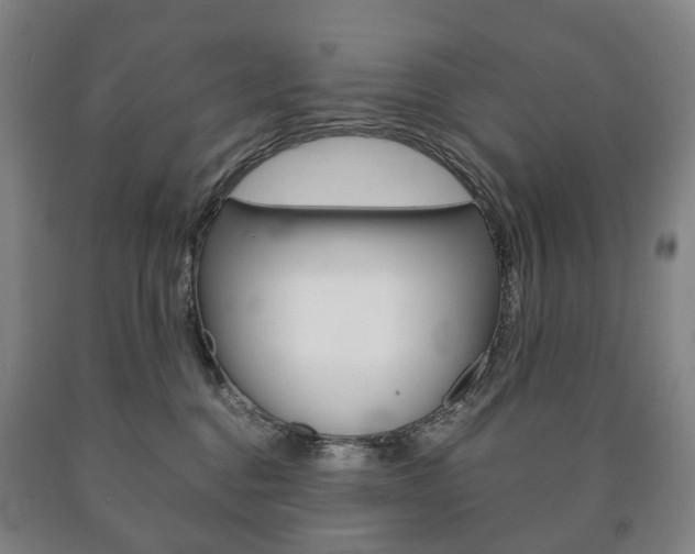 X0000090900376200707301016
