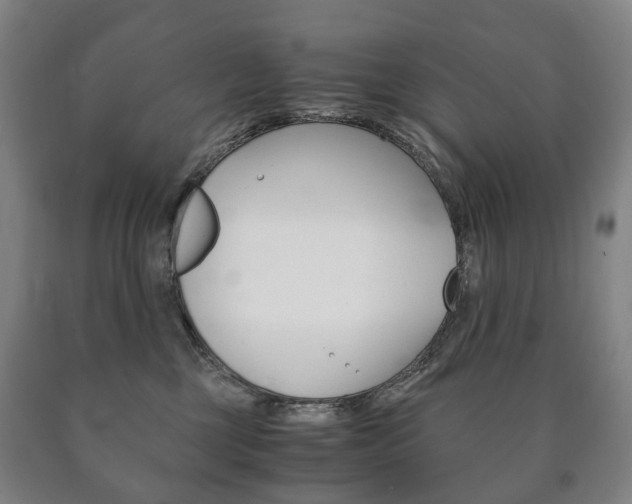 X0000090900377200707301016
