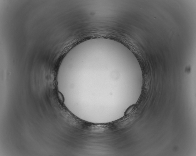 X0000090900378200707301016