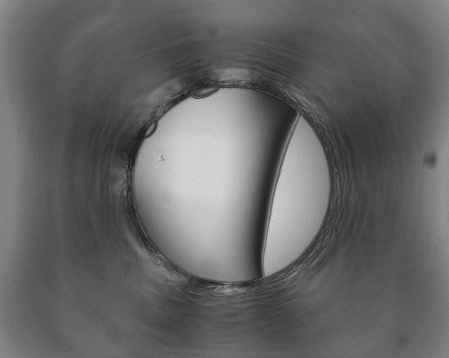 X0000090900379200707301016