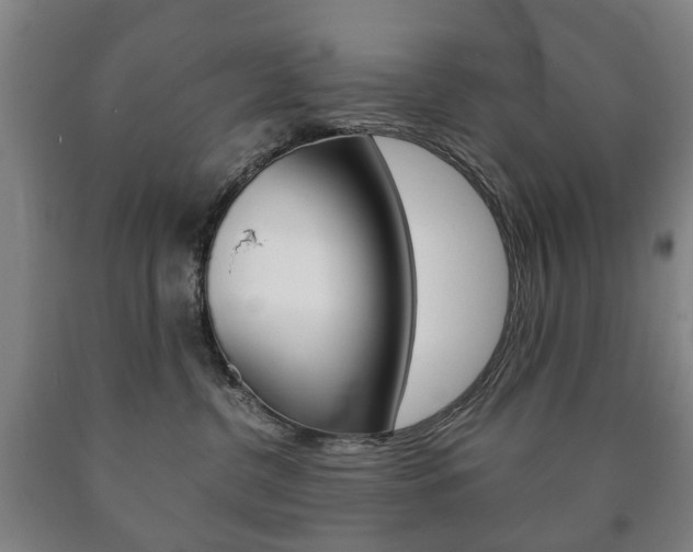 X0000090900380200707301016