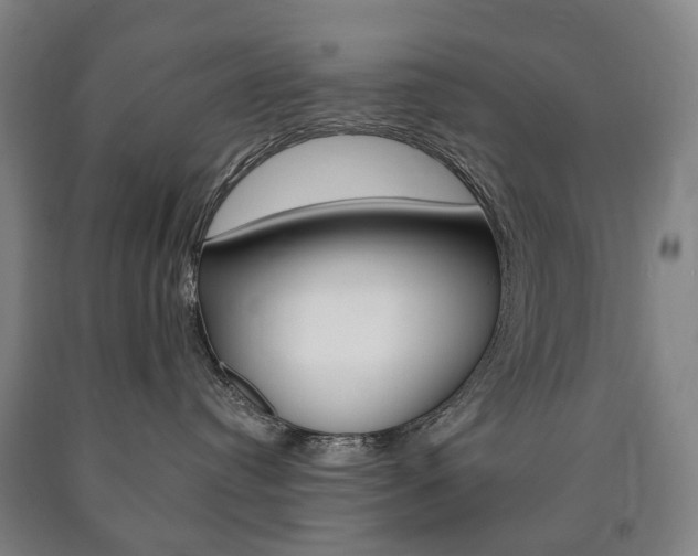 X0000090900384200707301016