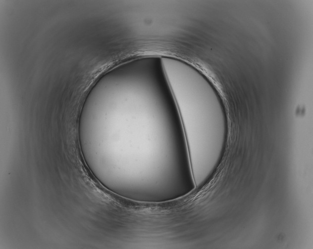 X0000090900385200707301016