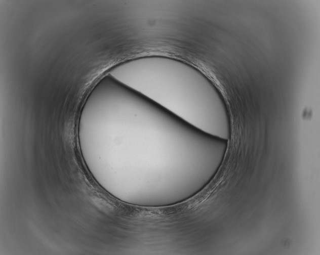 X0000090900386200707301016