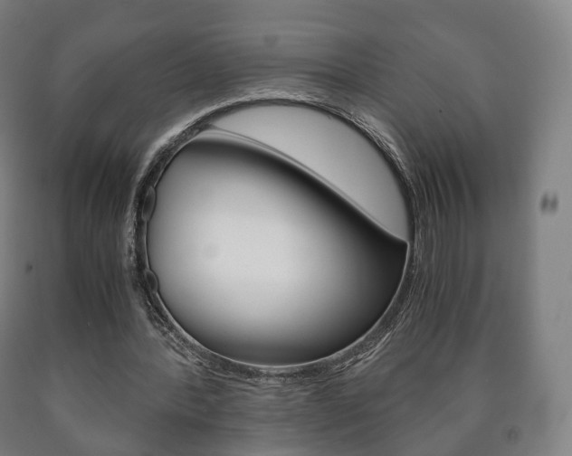 X0000090900388200707301016
