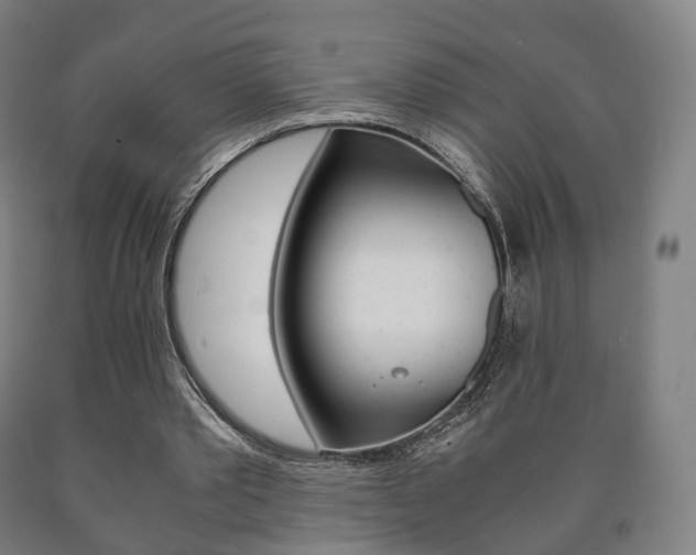 X0000090900389200707301016