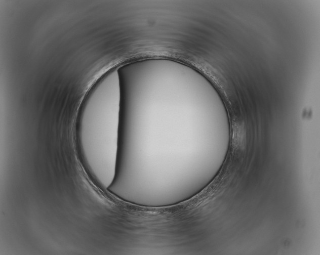 X0000090900390200707301016