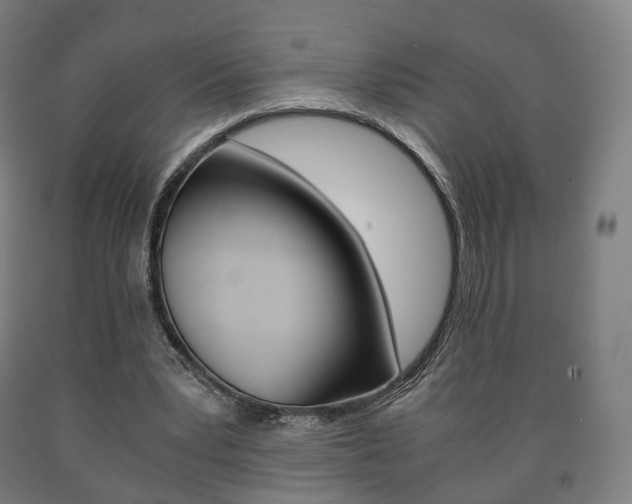 X0000090900391200707301015