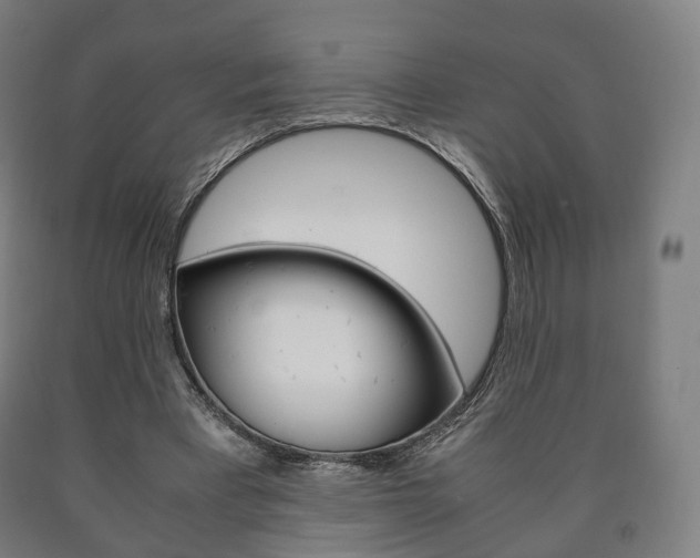 X0000090900393200707301015
