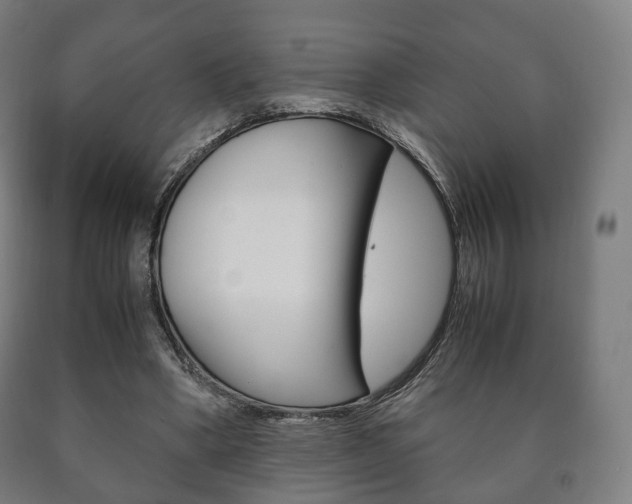 X0000090900394200707301015