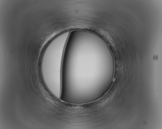 X0000090900395200707301015
