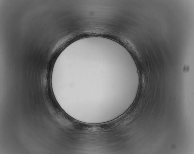 X0000090900396200707301015