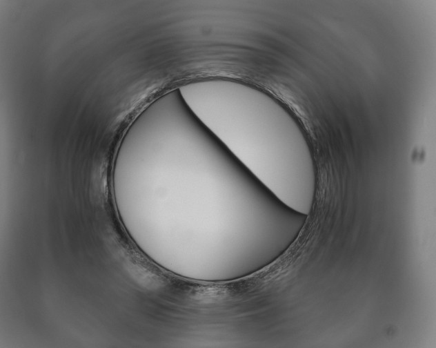 X0000090900398200707301015