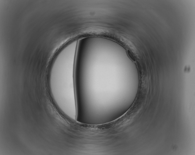 X0000090900399200707301015