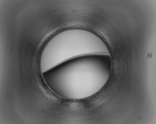 X0000090900400200707301015
