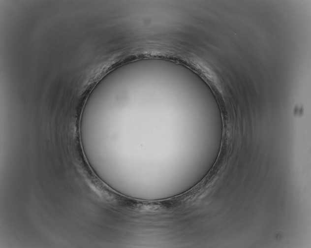 X0000090900401200707301015