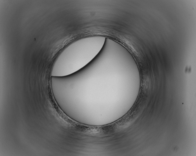 X0000090900402200707301015