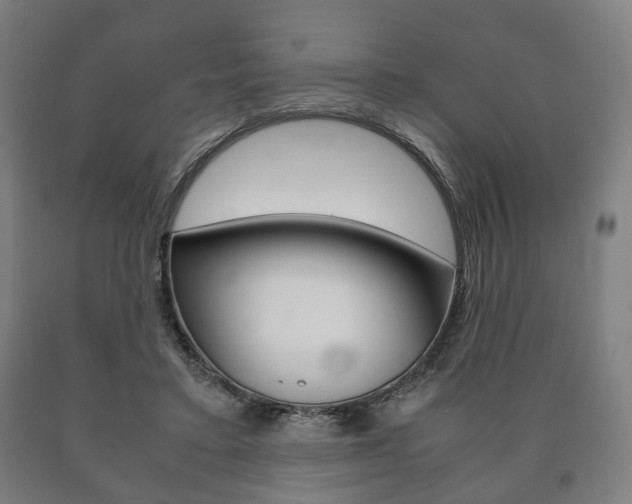 X0000090900403200707301015