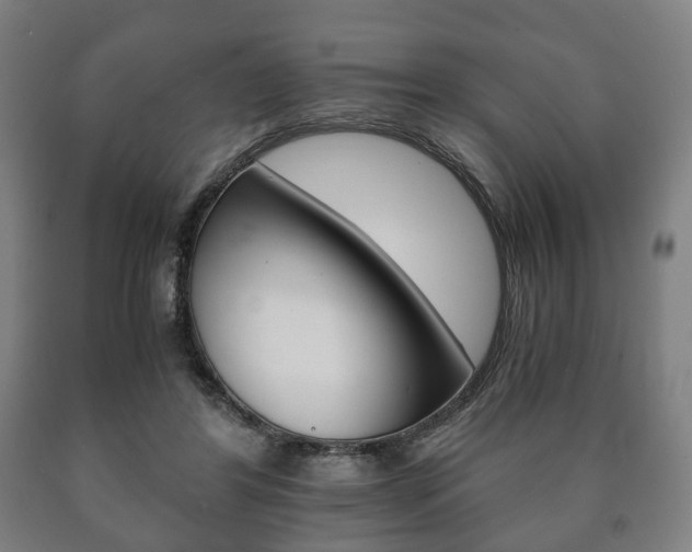 X0000090900404200707301015