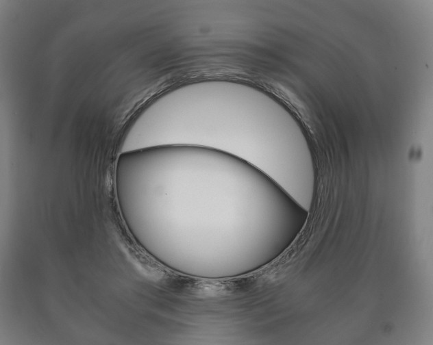 X0000090900405200707301015